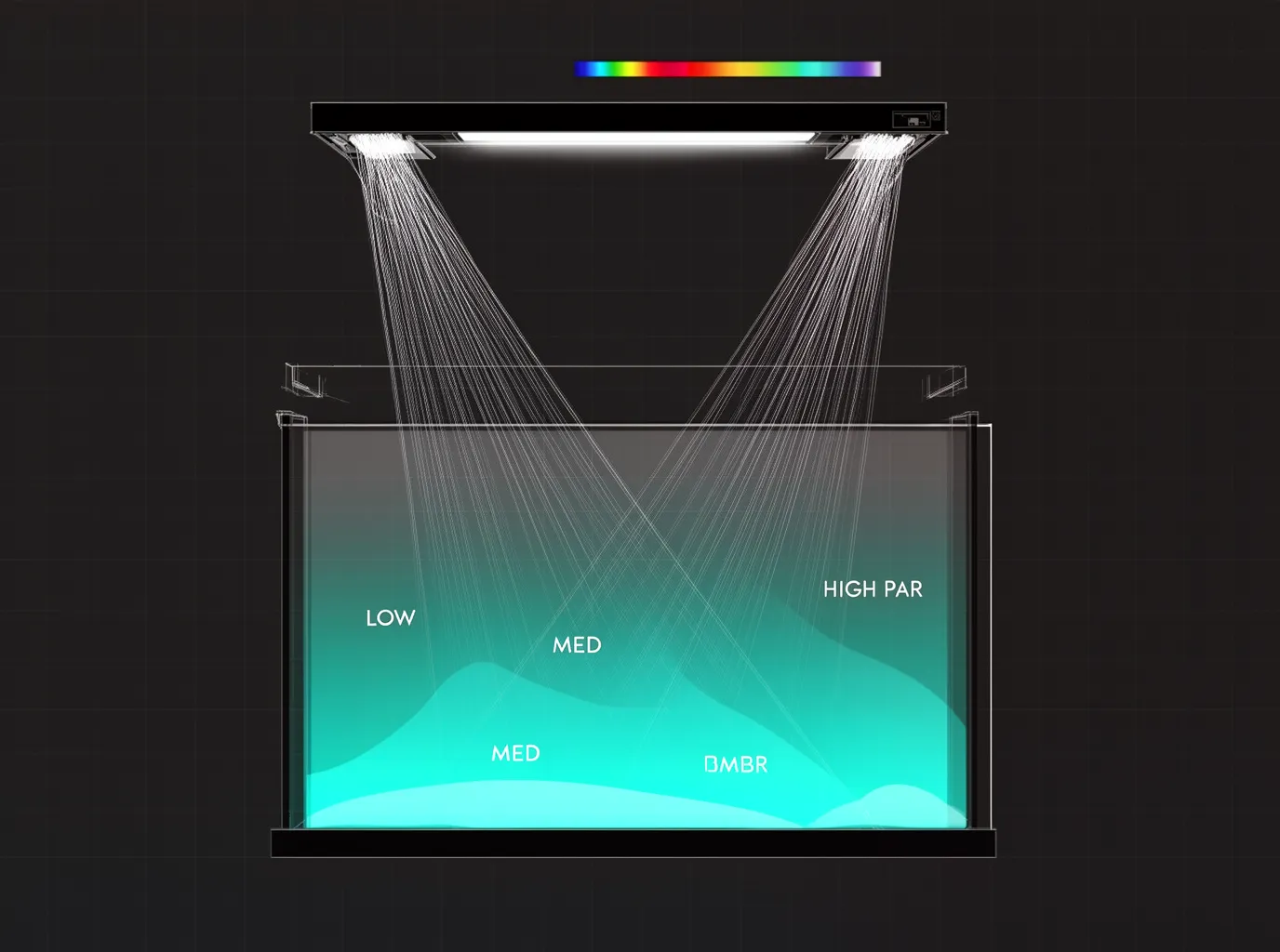 PAR zones in the water column: light from the fixture creates LOW, MED, and HIGH PAR areas at different depths